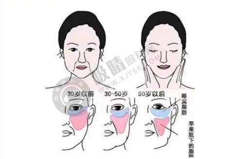 总结与建议