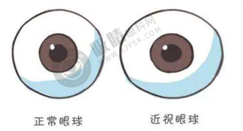 其他医院综合介绍