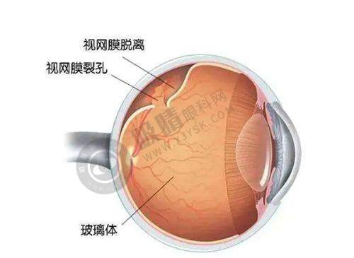 [韩国江南光明圣母眼科]简介概述