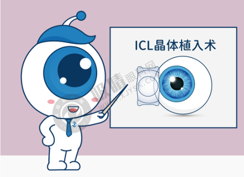 文章总结