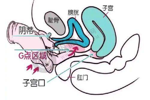 武汉爱美汇门诊部做面部吸脂效果好吗？瞿敏院长双层吸脂技术、创口小术后免拆线