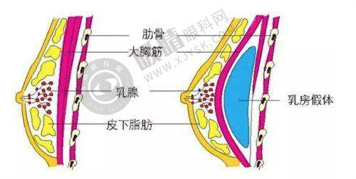 [武汉颜范薇美医疗美容门诊部]预约挂号方式及流程
