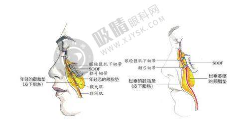 结语:选择武汉唯媚医疗美容医院,开启美丽新征程