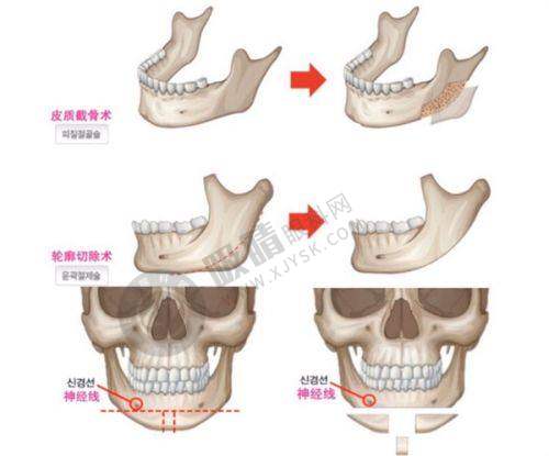 宜昌伊莱美整形医院的坐诊医生