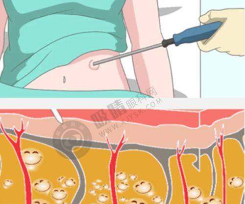 [武汉颜范薇美医疗美容门诊部]医院基本信息