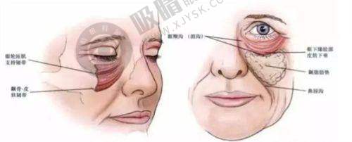 武汉颜范薇美医疗美容门诊部有哪些热门医美项目？