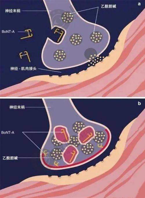 湖北武汉仁爱医院植发科：精良出色的技术与设备