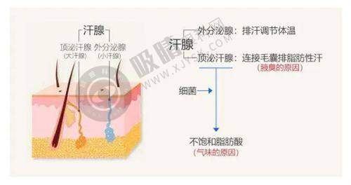武汉真爱私密整形医院
