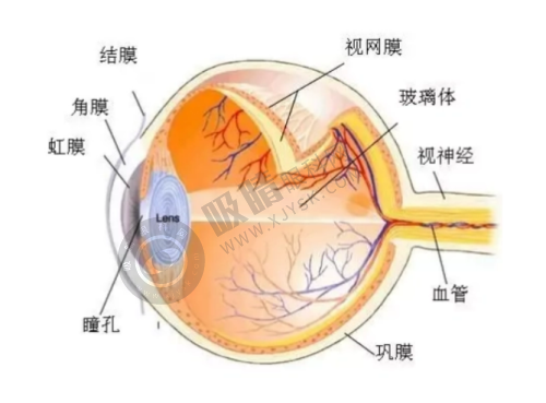 [武汉何氏精益眼科]医生团队实力强大