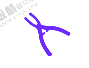 总结:长春牙冠军口腔医院——口腔健康理想保护