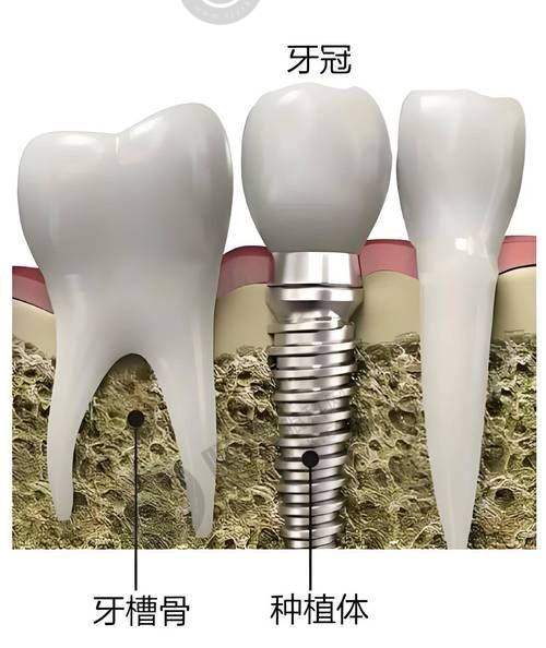 [湖北天门刘记牙科]医生团队实力强大