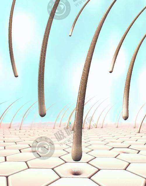 北京碧莲盛植发怎么样：医院价格参考