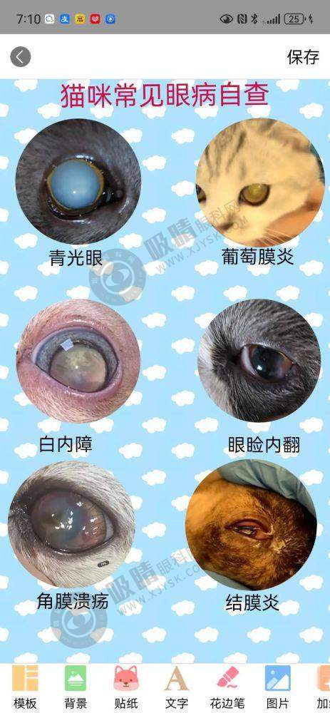 [沈阳爱尔卓越眼科医院]正规资质