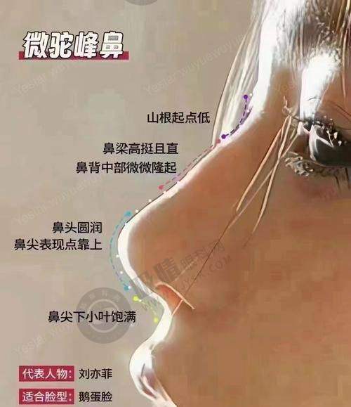 广东药科 大学附属第三医院怎么样——医院地址与挂号指南