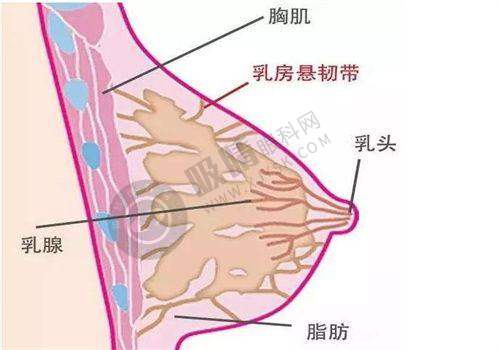 金华永康光大医疗美容医院怎么样正规吗？蒋建光院长鼻综合5年复刻率低至3%，免费面诊+术后专车接送