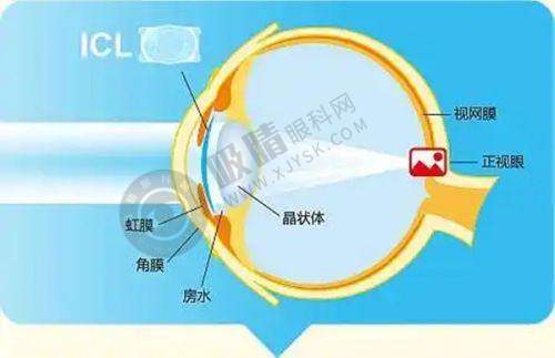 杭州天鑫整形医院其他技术与设备优势：全方面保护美丽