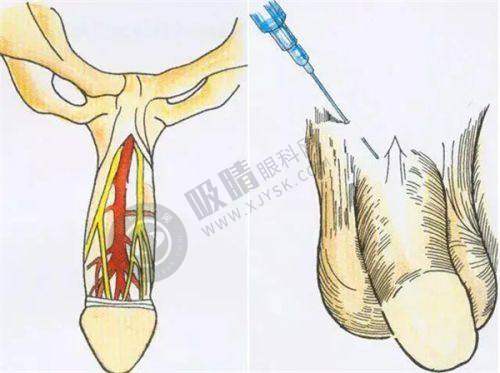 怀化华美整形医院