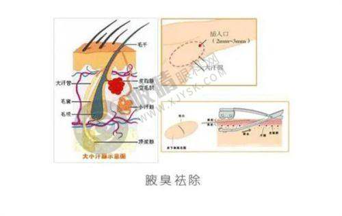 衡阳高新科凡十美医疗美容诊所简介概述