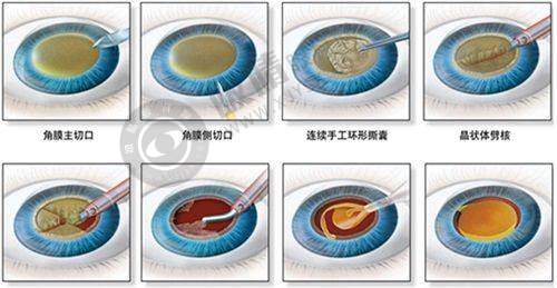 科研成果与所获荣誉：专精能力的证明