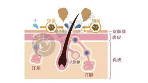 超声炮适合人群