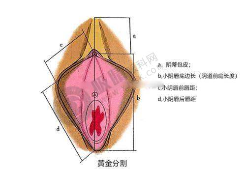 上海伯思立医疗美容门诊部——上海非国有私密整形特色门诊部