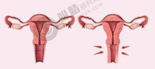 [辽宁省人民医院整形外科]价格表 / 收费标准