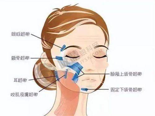 上海私密整形哪家强？十大公立医院权威排名+专家团队大揭秘！