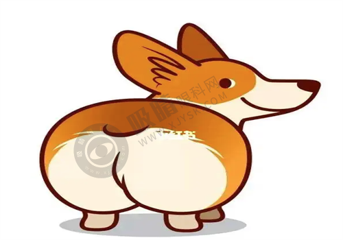 [沈阳蒂美医疗美容诊所]简介概述