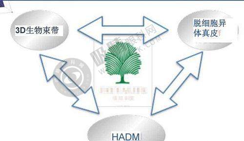沈阳悦慕医疗美容门诊部价格表 / 收费标准