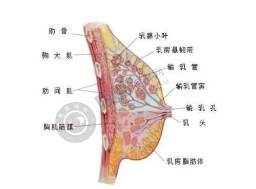 沈阳华美医院胎记疤痕科:精良的技术与设备优势