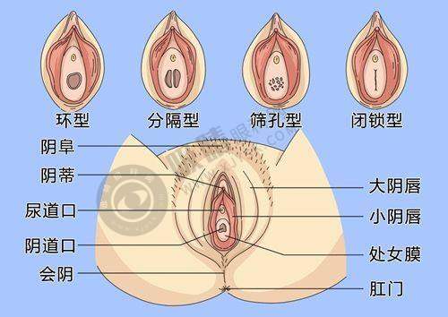 洛阳市第一人民医院整形美容科预约挂号流程公布：丰富的医美项目选择