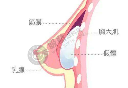 四川省人民医院整形美容科预约挂号流程公布：患者的优质选择
