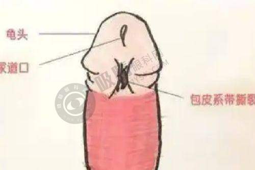 6. 重庆医科大学附属第一医院整形美容科价格优势分析