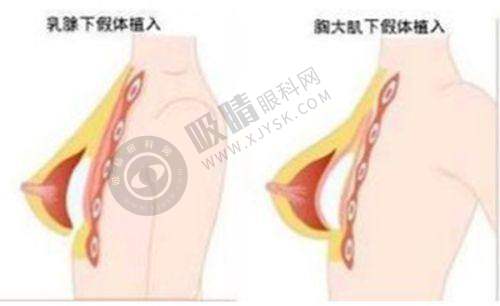 上海交通大学医学院附属瑞金医院最新地址在哪？院本部/北院/卢湾分院/古北分院详细位置及交通指南