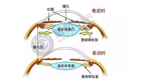 镇江苏王医疗美容门诊部怎么样?热门项目全解析