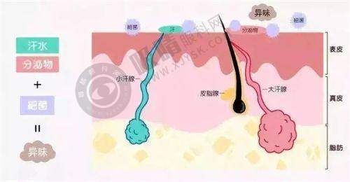 中山倾妍医疗美容诊所正规靠谱吗？经卫生部门批准成立，专注鼻部整形与玻尿酸注射效果显著
