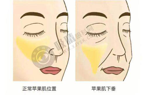 深圳美莱医疗美容医院——全方面服务取奥表现出色