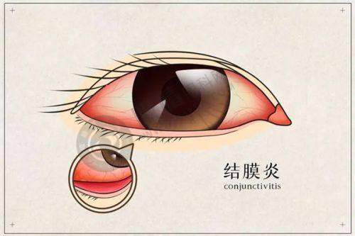 东莞市中医院眼科价格表 / 收费标准