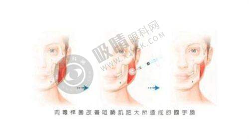 部分机构详细介绍