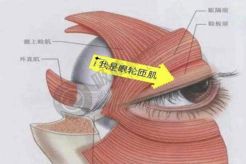 六、上海新星医疗美容整形外科地址及乘车路线