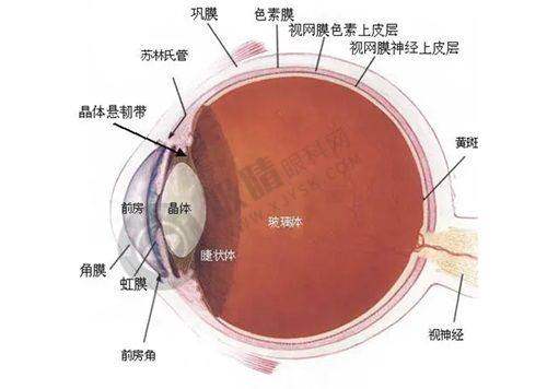 上海汾阳路眼科医院医生推荐