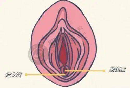 长沙三和整形医院怎么样？特色项目揭秘