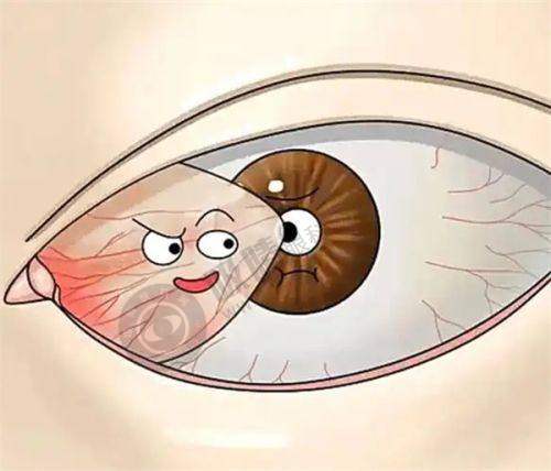 阳江市人民医院眼科预约挂号指南公布:三甲医院专家坐诊,白内障/青光眼治疗更安心