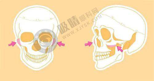 科室合作与技术支持