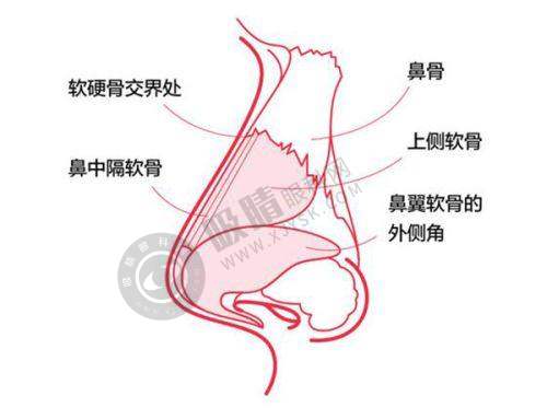 郭时伟医生：眼部修复与身材管理的北京八大处眼袋骨干医生