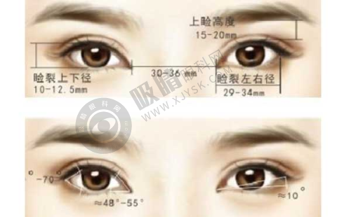 广州较大更好的美容医院是哪家?美莱医院技术设备优势凸显