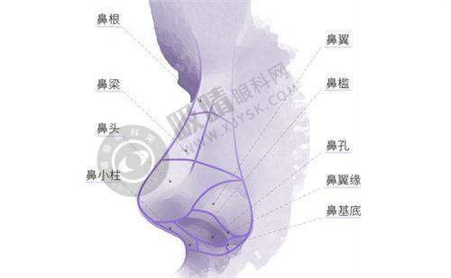 厦门美莱医疗美容医院资质情况