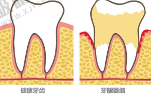 乐山看牙哪家强?这三家口碑好、价格实惠的牙科别错过!