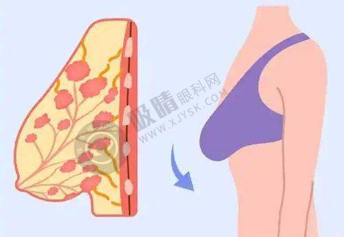 上海四一一医院植发中 心正规吗？看看有哪些植发项目