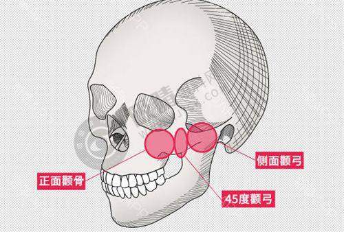 2025中国十大整形医院排名出炉,北上广三大名院技术实力大揭秘!